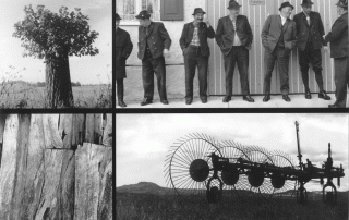 Collage: Baum, Männergruppe, Holzplanken, landwirtschaftliches Gerät.